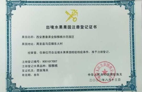 乳酸菌肥料助力獼猴桃品質(zhì)升級(jí)，陜西西安科技成果轉(zhuǎn)化推動(dòng)果業(yè)新發(fā)展